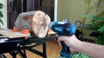 Makita TD0101F Máy bắt vít