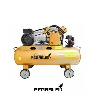 Pegasut PE 120L 07 Máy Nén Khí  -  PE TM-W-0.36/8-120L-4HP (380V)