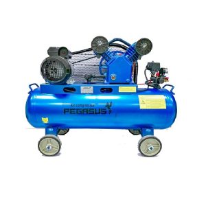 Pegasut - PE 120L 16 Máy Nén Khí PE TM-V-0.25/8-120L-3HP (Loại mới)