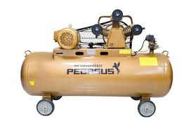 Pegasut - PE 180L 06 Máy Nén Khí PE TM-W-0.36/8-180L-4HP (220V)